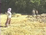 Village Granny Fucked In Field By Two Young Gay Farmers
