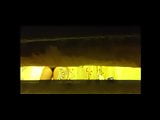 Asian bush under the door