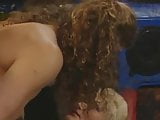 stacey v