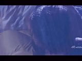 Rathinirvedam Telugu Movie Back to Back Scenes