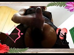 love amor tranny