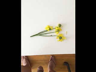 flowers for lee guerrero.  take 2