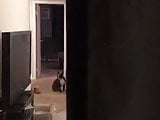 freakycoupleisback - periscope 06