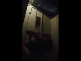 bitches indonesian live sex on cam